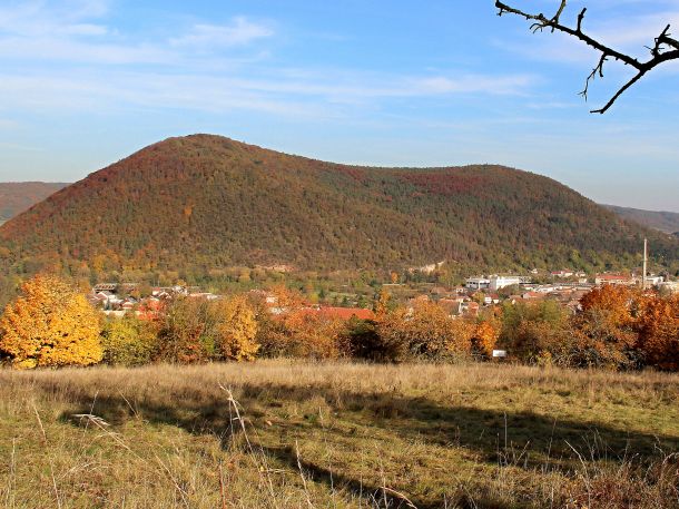 Květnice (Berg)